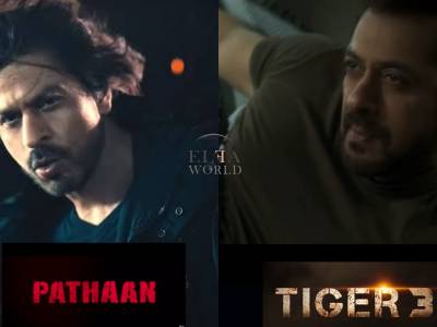 Tiger or Pathaan, Who Will Have 2023's Biggest Hit? 