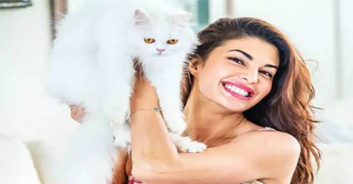 Jacqueline Fernandez Shares A Whatsapp Chat With Her Cat, Here's What Wish Miu Miu Had For Holi!