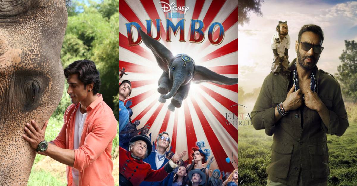Animals The New Parallel Hero – Junglee, Total Dhamaal, The Lion King And Dumbo!
