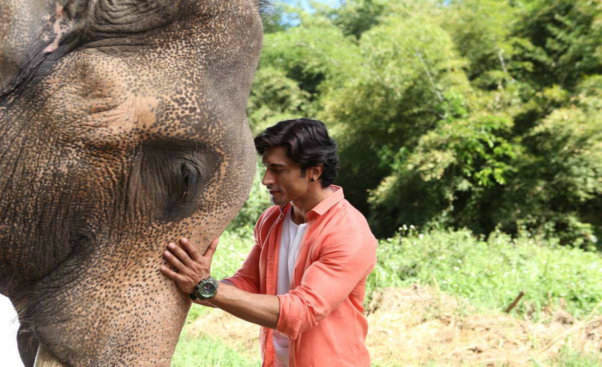 Vidyut Jammwal Pulls Off High Risk Action For Junglee!
