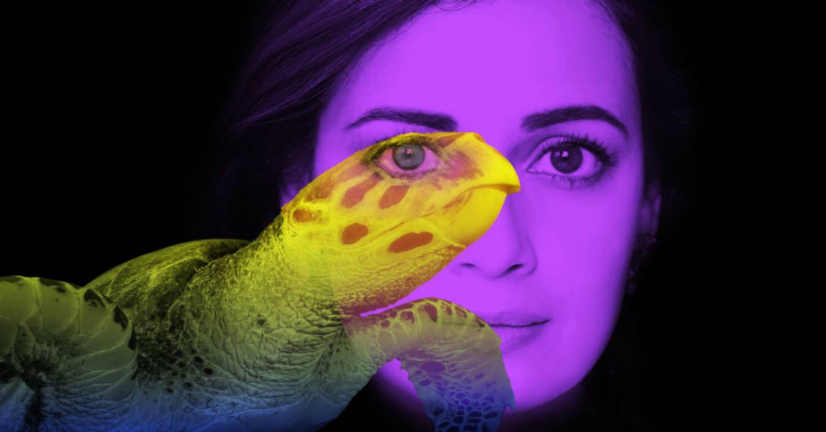 Dia Mirza: I Am A Sea Turtle!